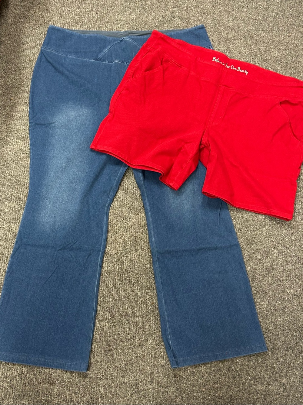 Belle by Kim Gravel Shorts and Women with Control by Renee Greenstein Bundle 30W